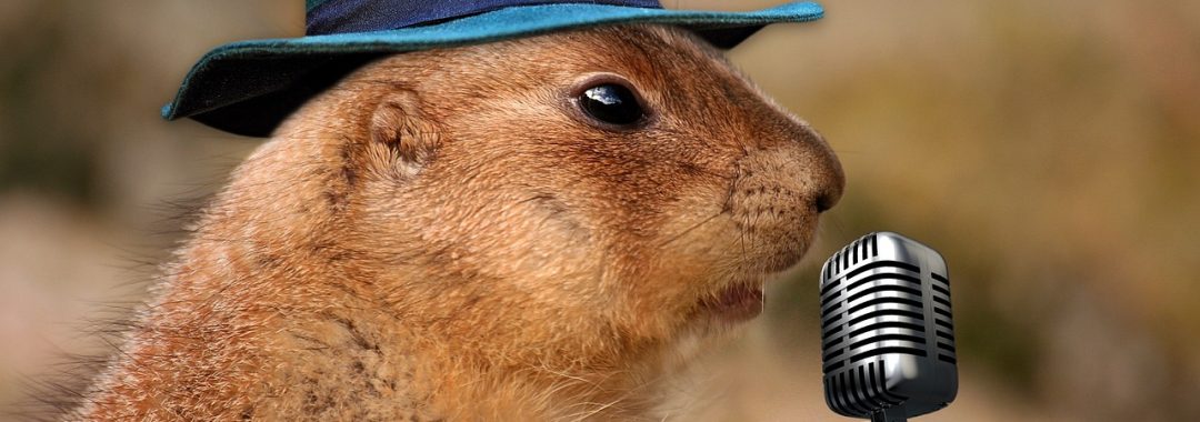 prairie dog singing